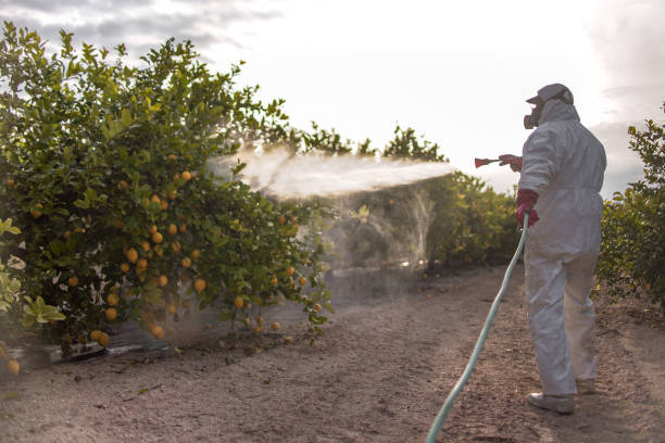 Best Bed Bug Extermination  in Gotha, FL